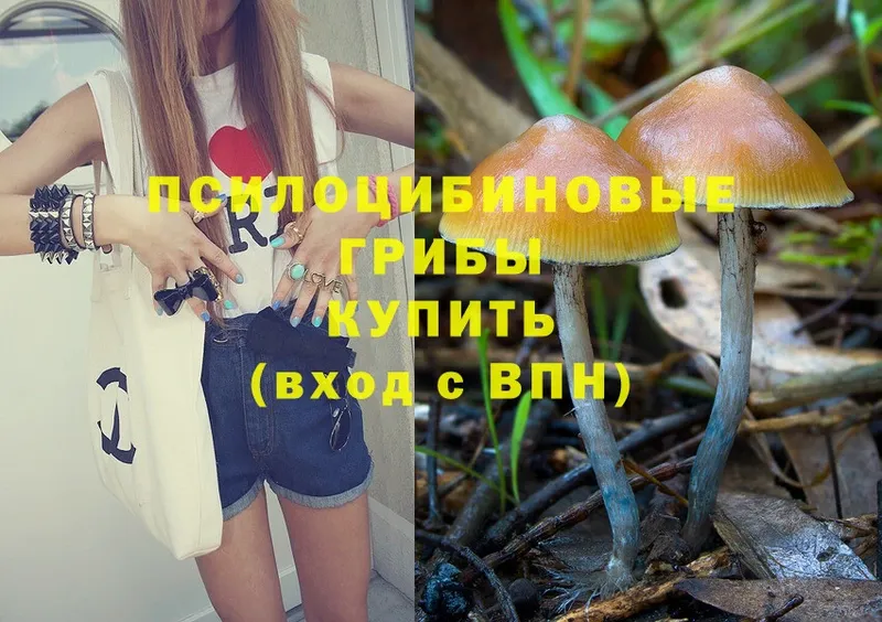 Псилоцибиновые грибы Magic Shrooms  Ряжск 